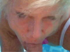 2 Huehner im Pool auf Mallorca